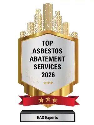 Top Asbestos Abatement Services 2026